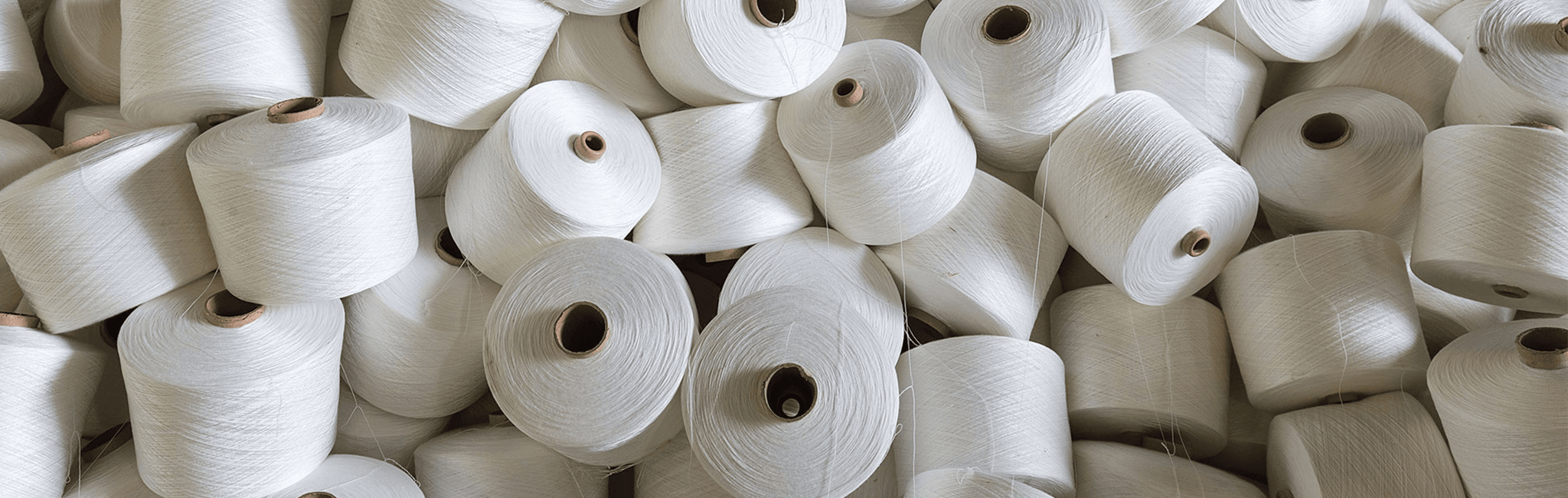 SHYAM COTSPIN Facility